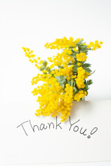 ミモザの花束とメッセージカード