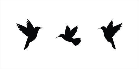 Hummingbird vector set silhouette hand drawn illustration on white background. hummingbird icon.