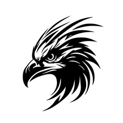 Obraz premium dynamic bird of prey illustration vector