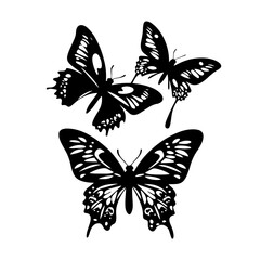 Obraz premium three flying butterflies in black and white vector silhouette, elegant insect illustration