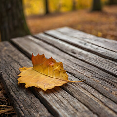 Autumn Solitude: A solitary leaf rests on a weathered wooden bench, embodying the serene beauty of autumn and the passage of time.