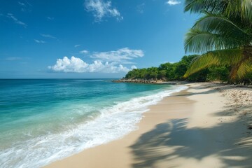 Fototapeta premium Tropical white sand beach with palm trees and turquoise sea under blue sky