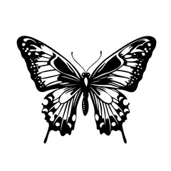 butterfly vector in black and white
