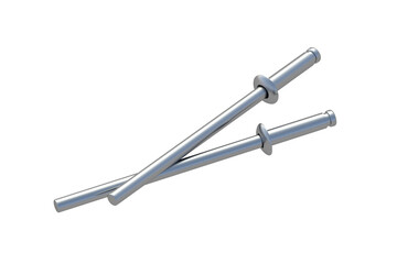 Two blind rivets isolated on white background. Fasteners for repair. 3d render