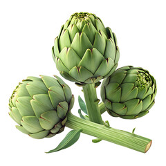 Obraz premium artichokes on a white background