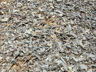 view of large amount of wood chips on the ground in the forest