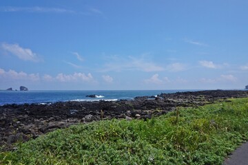 Coastal Lava Field and Blue Ocean Under a Clear Sky in Jeju Island