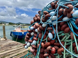 view of a small traditional fishing port in Guadeloupe with fishing nets and a tropical landscape in the background
