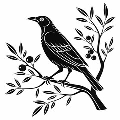Bowerbird black silhouette icon vector