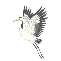 Japanese crane bird isolate on a white background. Vector graphics.