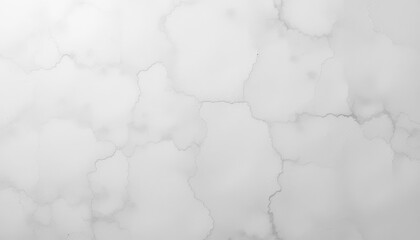 Obraz premium Abstract white marble texture studio image minimalist close-up design