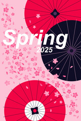 Traditional Japanese umbrellas among cherry blossoms and petals in spring on a pink background.
