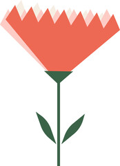 A beautiful flower of mother's day