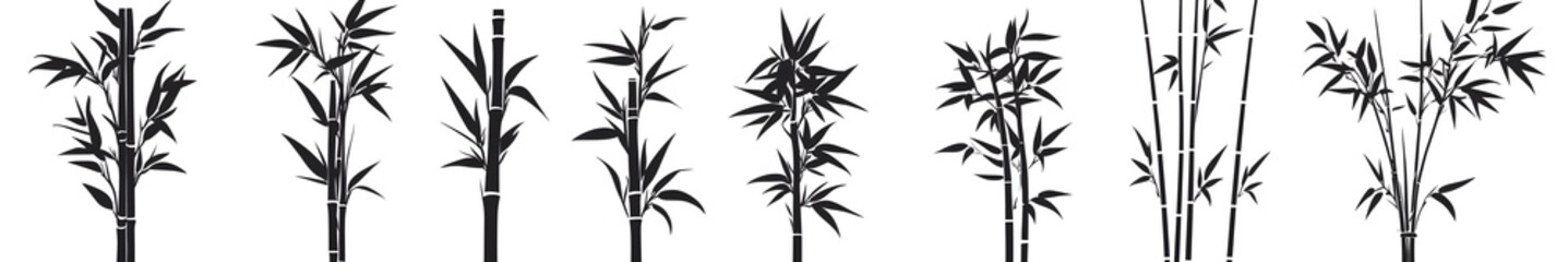 Obraz premium Bamboo Stalk Silhouette: A collection of elegant bamboo stalks is captured in a stunning silhouette against a minimalist background, showcasing their natural beauty and delicate forms.