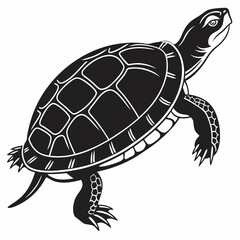 Box turtle silhouette black vector