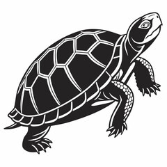 Box turtle silhouette black vector