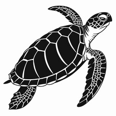Box turtle silhouette black vector