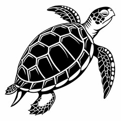Box turtle silhouette black vector