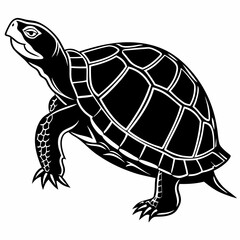 Box turtle silhouette black vector