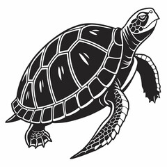 Box turtle silhouette black vector