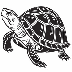 Box turtle silhouette black vector