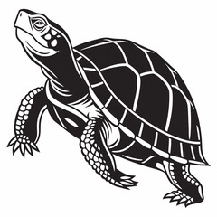 Box turtle silhouette black vector