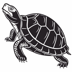 Box turtle silhouette black vector