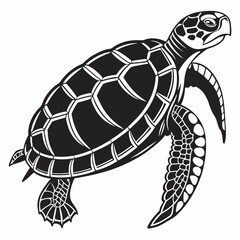 Box turtle silhouette black vector