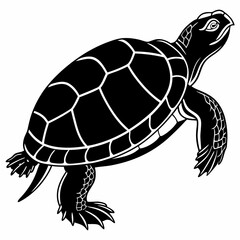Box turtle silhouette black vector