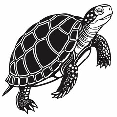 Box turtle silhouette black vector