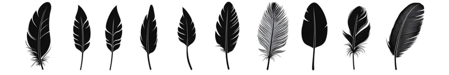 Obraz premium Feathers in monochrome: A captivating array of delicate feathers, artfully arranged, showcases a spectrum of textures and patterns, evoking a sense of lightness and serenity.
