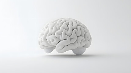 Modern 3D render of a brain with simplified shapes, isolated on a white background.