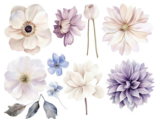 Obraz premium Watercolor and pastel flowers set against an isolated white background, png