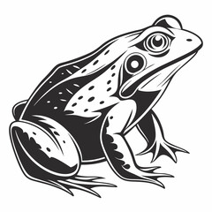 Bullfrog silhouette black vector