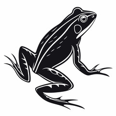 Bullfrog silhouette black vector