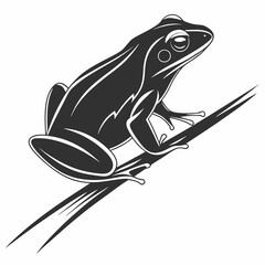 Obraz premium Bullfrog silhouette black vector