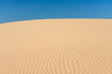 Rippled sand dune close-up and blue sky. Desert natural landscape