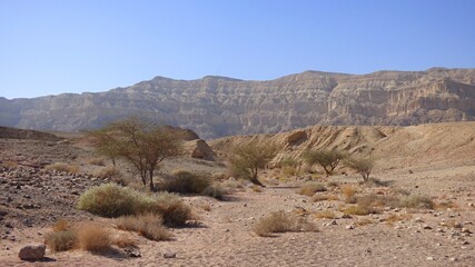 landscape of the mountains