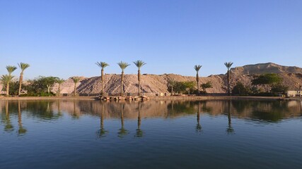 lake and palm trees desert Timna  reserve.