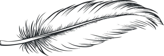 Obraz premium Detailed black and white feather sketch for nature-themed designs.