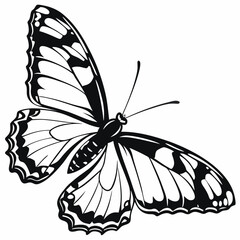 butterfly silhouette black vector