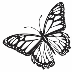 butterfly silhouette black vector