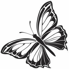 butterfly silhouette black vector