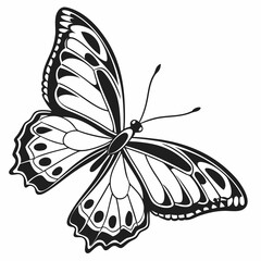 butterfly silhouette black vector