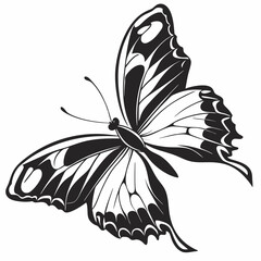 butterfly silhouette black vector