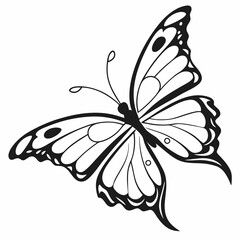 butterfly silhouette black vector