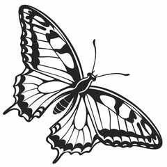 butterfly silhouette black vector