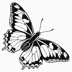 butterfly silhouette black vector