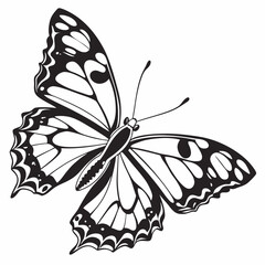 butterfly silhouette black vector