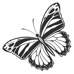 butterfly silhouette black vector
